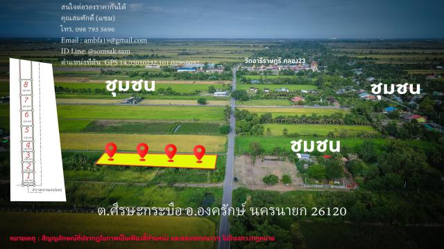 ขายที่ดิน ต.ศีรษะกระบือ อ.องครักษ์ จ.นครนายก
