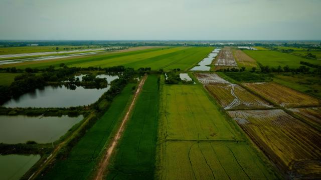 ขายที่ดินเปล่าพระอาจารย์ องครักษ์ นครนายก 8แปลง 100-150ตรว