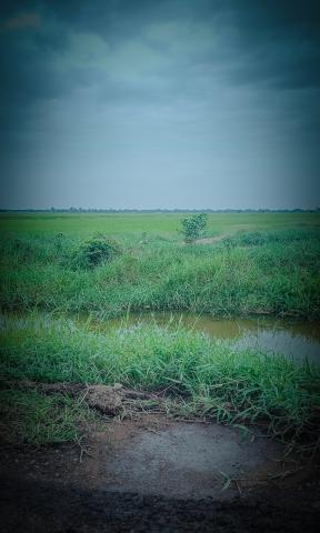 ขายที่ดินเปล่าพระอาจารย์ องครักษ์ นครนายก 8แปลง 100-150ตรว