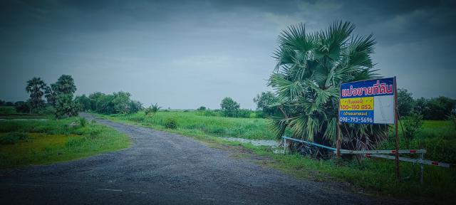 ขายที่ดินเปล่าพระอาจารย์ องครักษ์ นครนายก 8แปลง 100-150ตรว