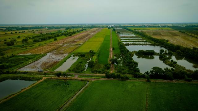 ขายที่ดินเปล่าพระอาจารย์ องครักษ์ นครนายก 8แปลง 100-150ตรว