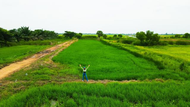 ขายที่ดินเปล่าพระอาจารย์ องครักษ์ นครนายก 8แปลง 100-150ตรว