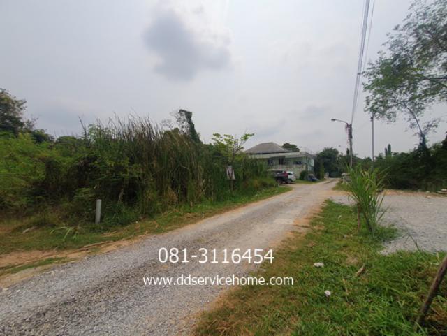 ขายที่ดิน 110 ตรว. ราคา 2.5 ล้าน (22,700-/ ตรว)ถนนหลัก พุทธมณฑลสาย 3 แยก 19  เหมาะสร้างบ้าน หรือ ธุรกิจ ต่างต่าง ใกล้ เซ็นทรัลศาลายา 