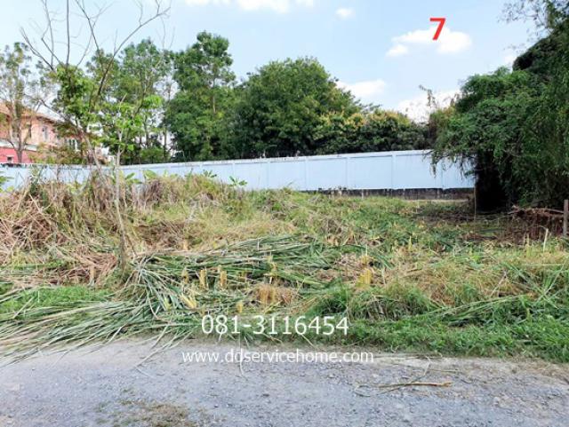 ขายที่ดิน 110 ตรว. ราคา 2.5 ล้าน (22,700-/ ตรว)ถนนหลัก พุทธมณฑลสาย 3 แยก 19  เหมาะสร้างบ้าน หรือ ธุรกิจ ต่างต่าง ใกล้ เซ็นทรัลศาลายา 