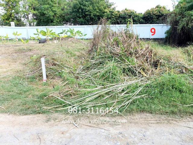 ขายที่ดิน 110 ตรว. ราคา 2.5 ล้าน (22,700-/ ตรว)ถนนหลัก พุทธมณฑลสาย 3 แยก 19  เหมาะสร้างบ้าน หรือ ธุรกิจ ต่างต่าง ใกล้ เซ็นทรัลศาลายา 