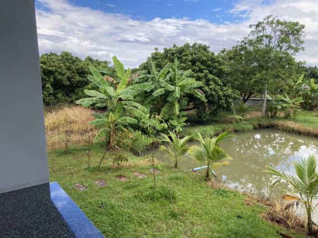 ขายบ้านสวนสไตล์พลูวิลล่า บ้านแม่สะลาบ อำเภอสารภี จังหวัดเชียงใหม่  (เจ้าของขายเอง)