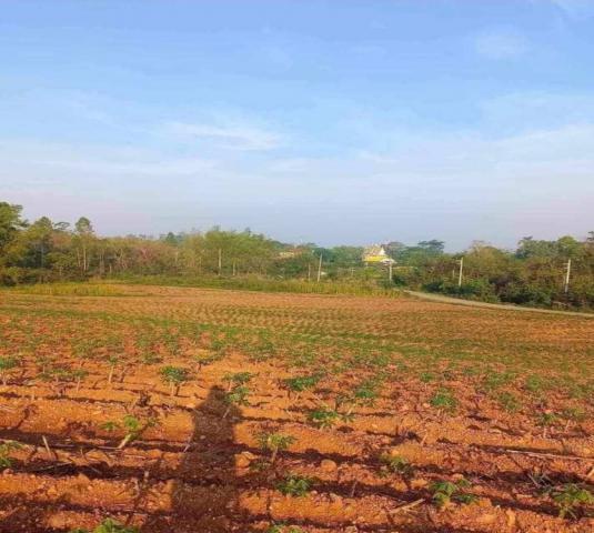 ขายที่ดินแปลงสวย ทำเลดี วิวดีติดเขาใหญ่ (ข้างหลังเป็นภูเขา)ข้างหน้าติดกับถนนใหญ่ เหมาะทำธุรกิจ 