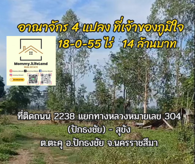 ขายที่ดินพร้อมบ้าน อาณาจักร 4 แปลง ที่เจ้าของภูมิใจ โฉนดครุฑแดง  18-0-55 ไร่  14 ล้านบาท  ต.ตะคุ อ.ปักธงชัย จ.นครราชสีมา