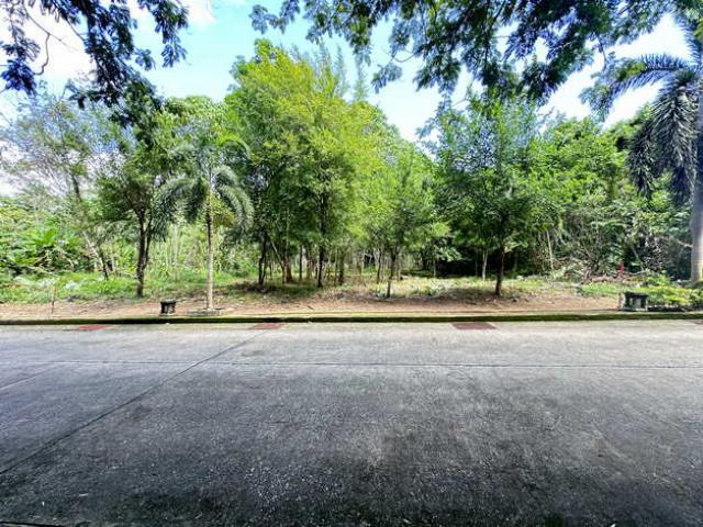 ขายที่ดิน ในโครงการ Yamu Hills (ยามู ฮิลล์) อำเภอถลาง จังหวัดภูเก็ต (เจ้าของขายเอง)
