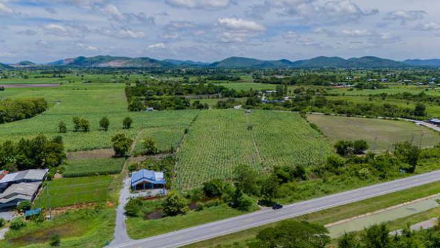 ขายที่ดินทำเลทอง ติดถนน สพ.4059 ถนน2 เลน อ. อู่ทอง จ. สุพรรณบุรี