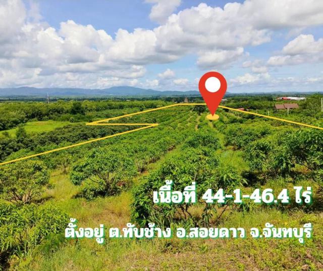 ขายที่ดินพร้อมสวนติดเชิงเขา ราคาถูก  ทำเลทอง อำเภอสอยดาว จังหวัดจันทบุรี (เจ้าของขายเอง)