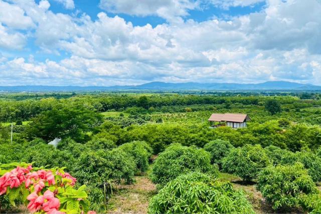 ขายที่ดินพร้อมสวนติดเชิงเขา ราคาถูก  ทำเลทอง อำเภอสอยดาว จังหวัดจันทบุรี (เจ้าของขายเอง)