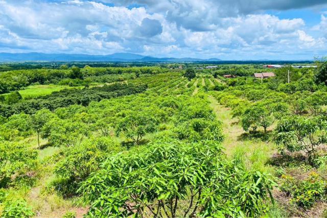 ขายที่ดินพร้อมสวนติดเชิงเขา ราคาถูก  ทำเลทอง อำเภอสอยดาว จังหวัดจันทบุรี (เจ้าของขายเอง)
