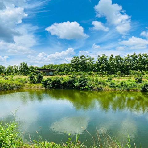 ขายที่ดินพร้อมสวนติดเชิงเขา ราคาถูก  ทำเลทอง อำเภอสอยดาว จังหวัดจันทบุรี (เจ้าของขายเอง)