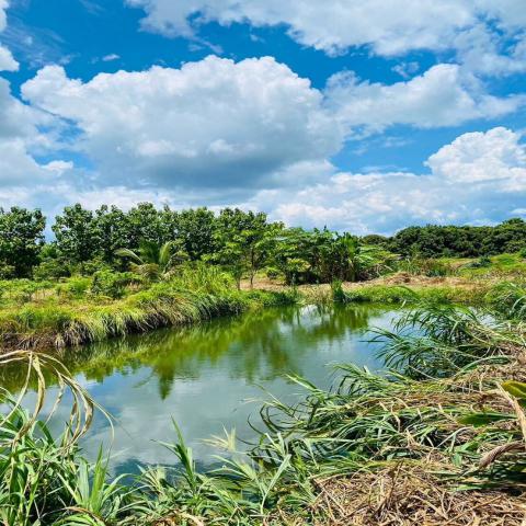 ขายที่ดินพร้อมสวนติดเชิงเขา ราคาถูก  ทำเลทอง อำเภอสอยดาว จังหวัดจันทบุรี (เจ้าของขายเอง)