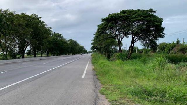 ขายด่วนที่ดิน ถมแล้ว ทำเลดี ติดถนนสายเอเซีย จ.ชัยนาท (เจ้าของขายเอง)