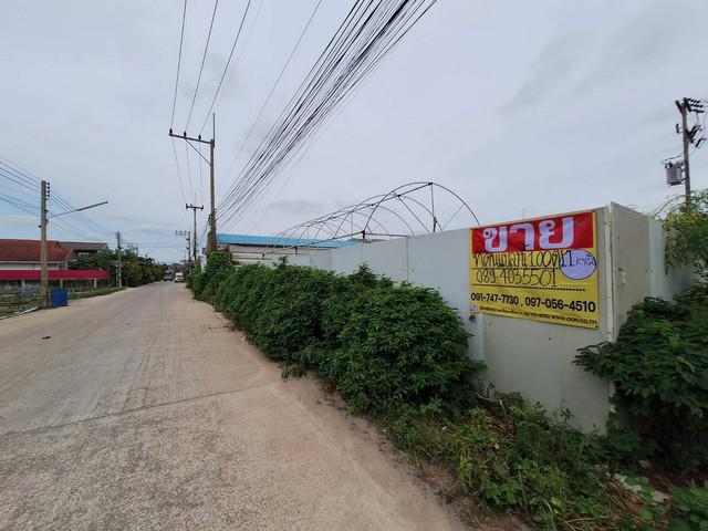 ขายที่ดินทำเลทอง แปลงหัวมุม  100 ตร.วา.ถนนกิจมณี ซอยโรงหมู ย่านล้ง โคกขาม สมุทรสาคร   ZW445