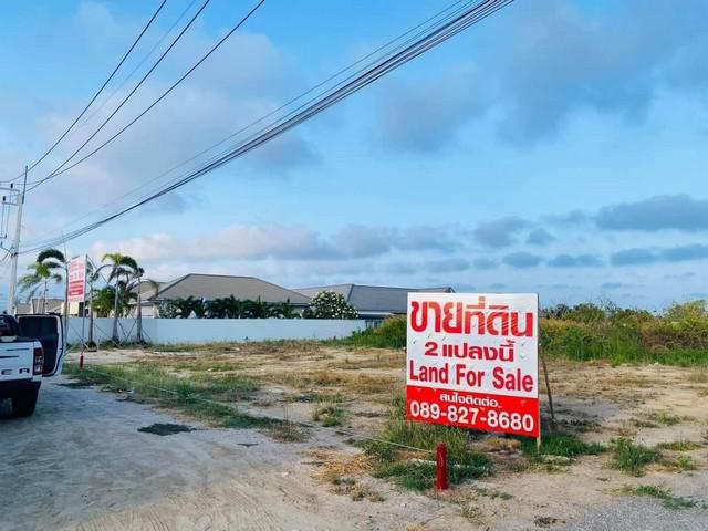 ขายที่ดินในอำเภอ ชะอำ จังหวัด เพชรบุรีใกล้ทะเลประมาณ 2 กิโลเมตร