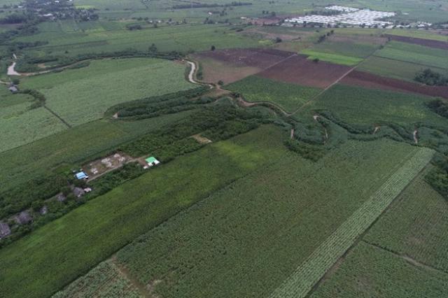 ขายที่ดินแปลงสวย ทำเลดี อำเภอวังม่วง   จังหวัดสระบุรี (เจ้าของขายเอง)
