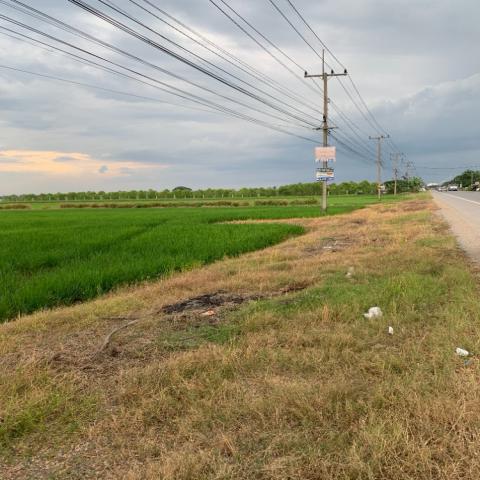 ขายที่ดิน ทำเลดี คลอง 8 ฝั่งตะวันออก อำเภอลำลูกกา จังหวัดปทุมธานี (เจ้าของขายเอง)