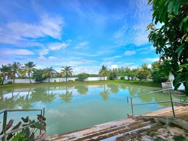 บ้านสวนร่มรื่น พร้อมบอปลาขนาดใหญ่ โซนหางดง           