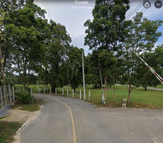 ขายด่วน ที่ดินริมน้ำ ลำตะคอง ทำเลทอง (เขาปากช่อง-เขาใหญ่) จังหวัดนครราชสีมา (เจ้าของขายเอง)