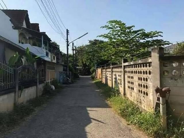ที่ดินใกล้ รพ.สวนดอก เหมาะสร้างที่อยู่อาศัย             