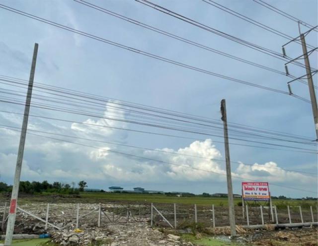 ขายที่ดินแปลงสวย 5 ไร่ 3งาน ถนน 346 แยกไทรน้อย-บางเลน