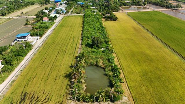 ขายที่ดินเปล่าติดถนน ทำเลทอง อำเภอลาดหลุมแก้ว จังหวัดปทุมธานี