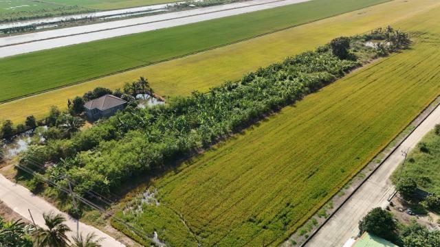 ขายที่ดินเปล่าติดถนน ทำเลทอง อำเภอลาดหลุมแก้ว จังหวัดปทุมธานี