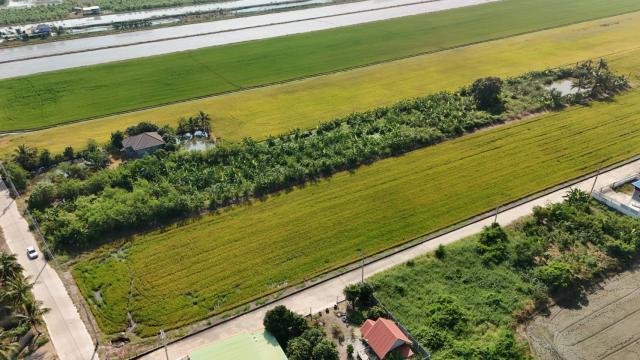 ขายที่ดินเปล่าติดถนน ทำเลทอง อำเภอลาดหลุมแก้ว จังหวัดปทุมธานี