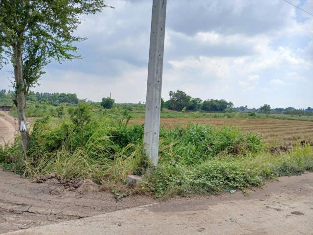 ขายที่ดินเปล่า 2เเปลง ติดกัน ทำเลทอง  อำเภอเมืองอ่างทอง จังหวัดอ่างทอง