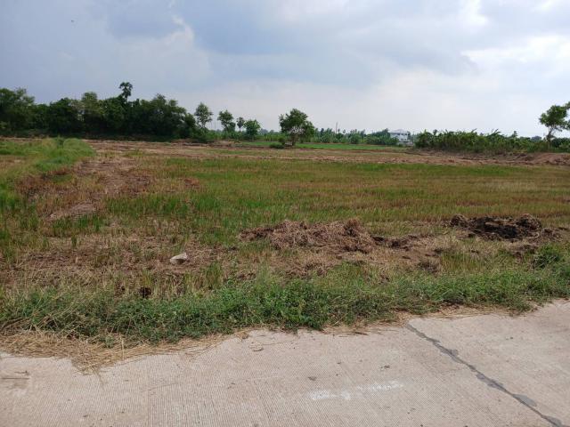 ขายที่ดินเปล่า 2เเปลง ติดกัน ทำเลทอง  อำเภอเมืองอ่างทอง จังหวัดอ่างทอง