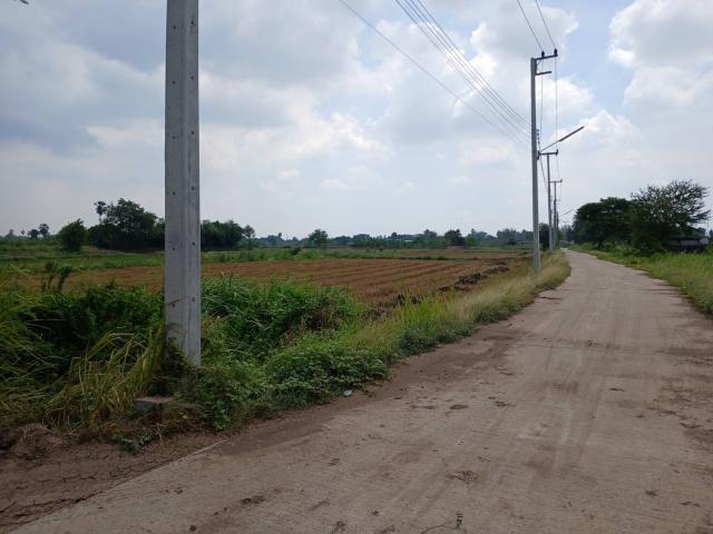 ขายที่ดินเปล่า 2เเปลง ติดกัน ทำเลทอง  อำเภอเมืองอ่างทอง จังหวัดอ่างทอง