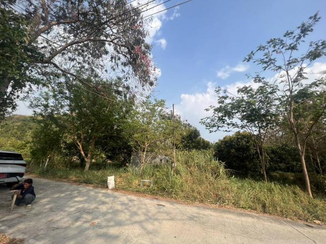 ขายที่ดินเปล่า2ไร่ ทำเลทอง  อำเภอเเก่งคอย จังหวัดสระบุรี