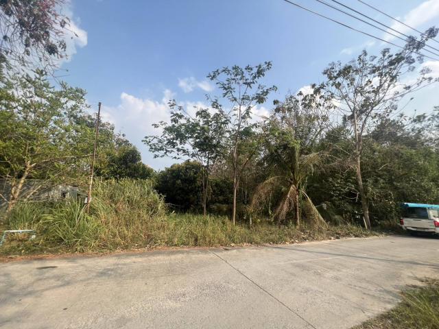 ขายที่ดินเปล่า2ไร่ ทำเลทอง  อำเภอเเก่งคอย จังหวัดสระบุรี