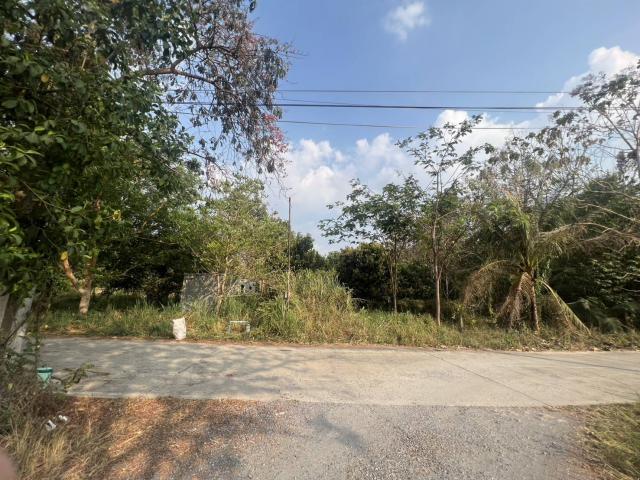 ขายที่ดินเปล่า2ไร่ ทำเลทอง  อำเภอเเก่งคอย จังหวัดสระบุรี