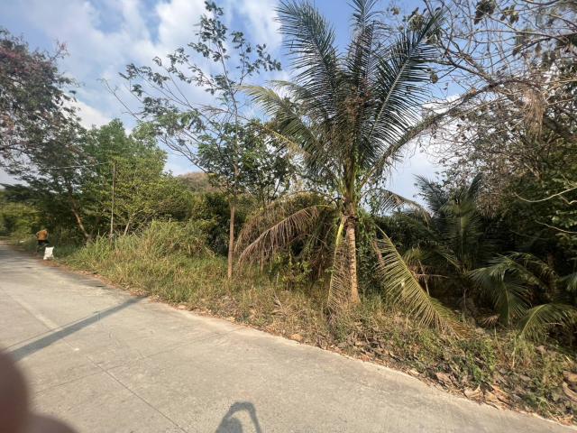 ขายที่ดินเปล่า2ไร่ ทำเลทอง  อำเภอเเก่งคอย จังหวัดสระบุรี