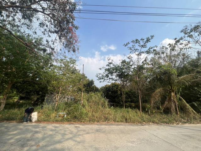 ขายที่ดินเปล่า2ไร่ ทำเลทอง  อำเภอเเก่งคอย จังหวัดสระบุรี