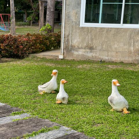 ขายที่ดินพร้อมสิ่งปลูกสร้าง ทำเลทอง อำเภอสันทราย จังหวัดเชียงใหม่