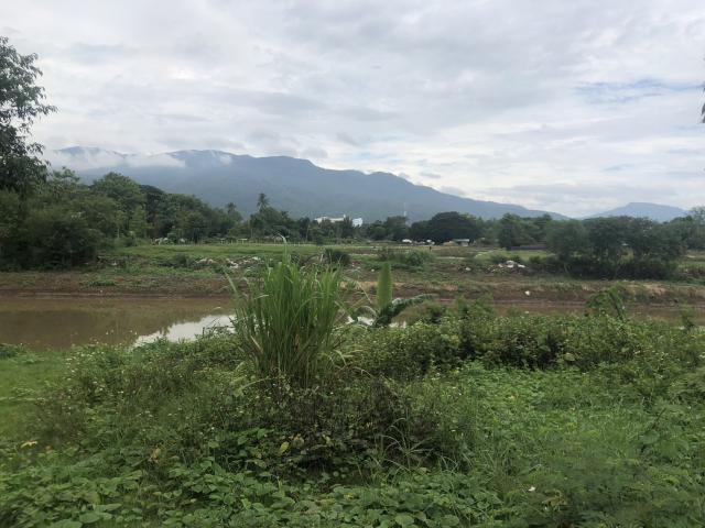 ขายที่ดินสวย ถมเเล้ว ติดแม่น้ำปิง วิวดอยสุเทพ อำเภอเมืองเชียงใหม่ จังหวัดเชียงใหม่