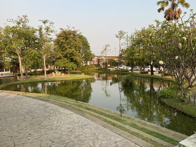 ขายที่ดินเปล่า ในหมู่บ้านดิเออบาน่า 1 ทำเลทอง  อำเภอเมืองเชียงใหม่  จังหวัดเชียงใหม่ 