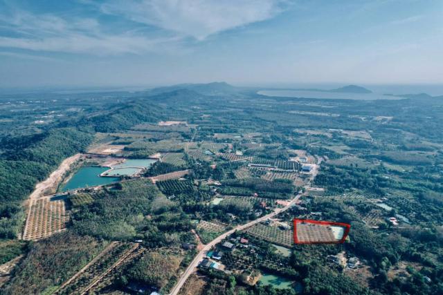 ขายที่ดินทำเลดี สวนทุเรียนหมอนทอง ขนาด 5-3-22.8 ไร่ จ.จันทบุรี