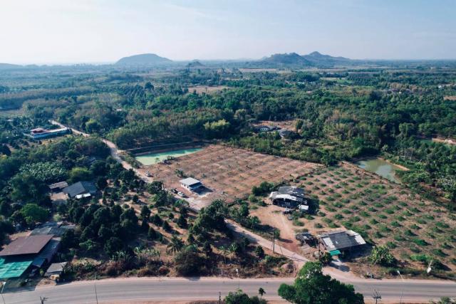 ขายที่ดินทำเลดี สวนทุเรียนหมอนทอง ขนาด 5-3-22.8 ไร่ จ.จันทบุรี