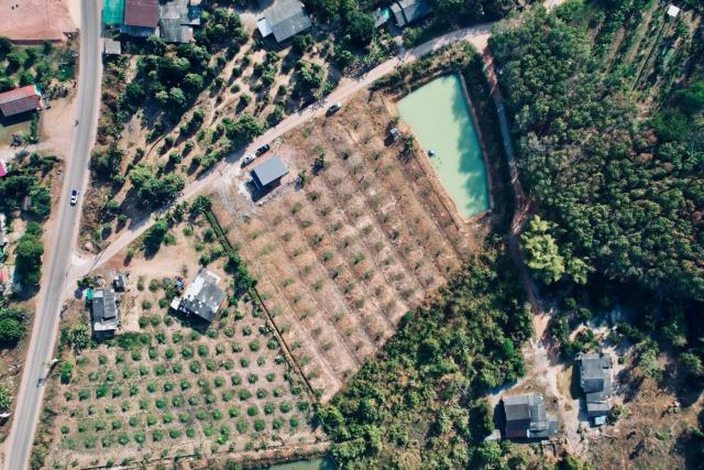 ขายที่ดินทำเลดี สวนทุเรียนหมอนทอง ขนาด 5-3-22.8 ไร่ จ.จันทบุรี