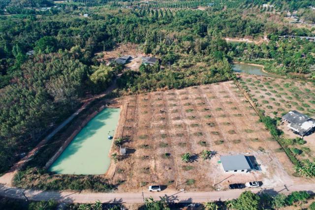 ขายที่ดินทำเลดี สวนทุเรียนหมอนทอง ขนาด 5-3-22.8 ไร่ จ.จันทบุรี