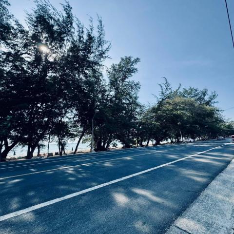 ขายที่ดินสวยมาก ริมทะเล หาดแม่รำพึง 10-3-41.8 ไร่ จ.ระยอง