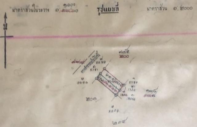 ขายที่ดินไทรน้อย 200 ตร.ว.ถมแล้ว ใกล้ อบต.ไทรน้อย บางบัวทอง นนทบุรี