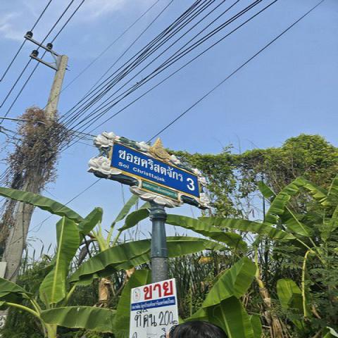 ที่ดิน - 200 ตรว.  25000 B. ใกล้ โรงเรียนปทุมวิไล ศาลากลางปทุมธานี โลตัสปทุมธานี โรงพยาบาลปทุมธานี อยู่ย่านใจกลางเมืองปทุม เขตชุมชน ราคาจับต้องได้ ใกล้สถานที่ราชการ โรงพยาบาล โรงเรียน