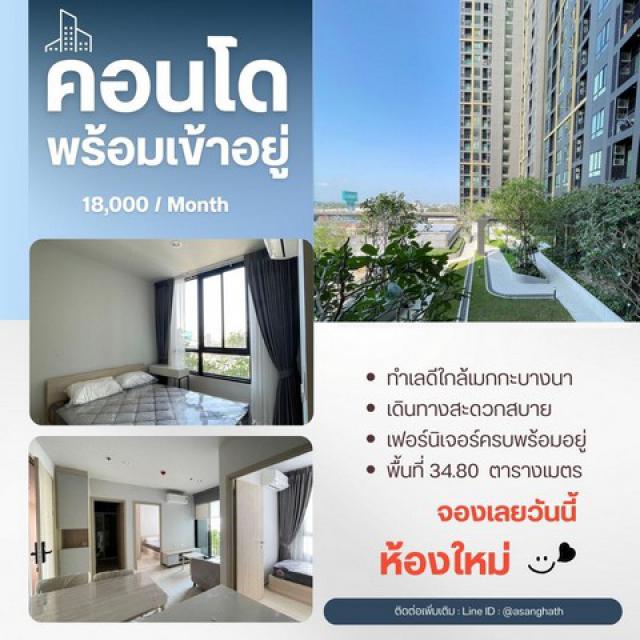FOR REN  Nue Mega Plus Bangna  ห้องใหม่ ใกล้ห้าง 1 Bed Plus   ติด Mega bangna